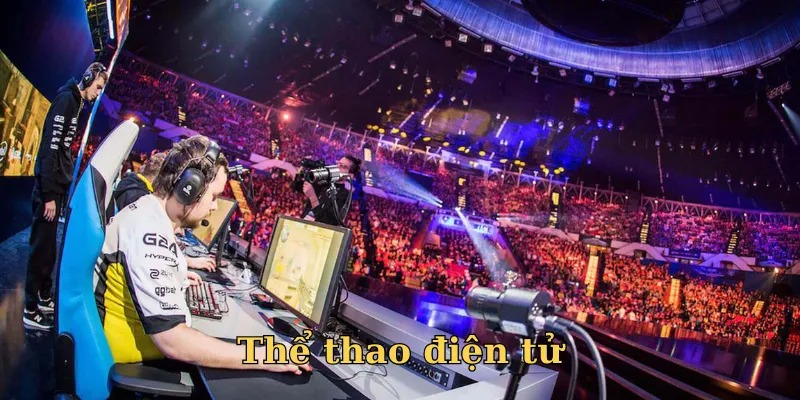 Không gian giải trí sôi động của Dabet