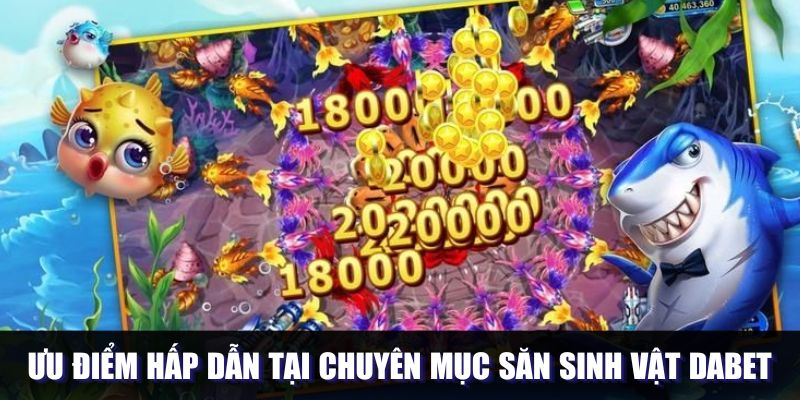 Không khí sôi động trên Dabet